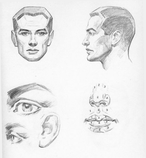 Форма лица для рисования