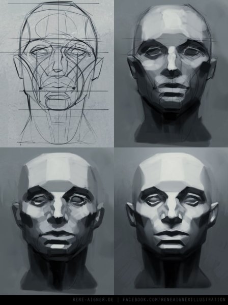 Голова человека ракурсы референс