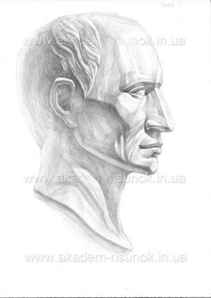 Цезарь голова гипсовая МАРХИ