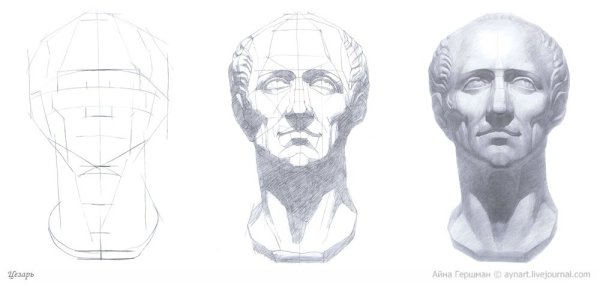 Цезарь профиль МАРХИ