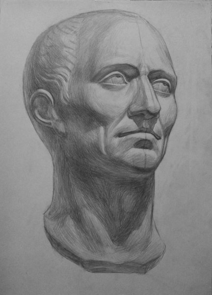Цезарь рисунок гипсовой головы