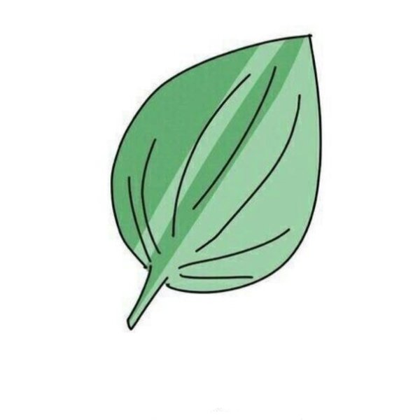 Подорожник Мем