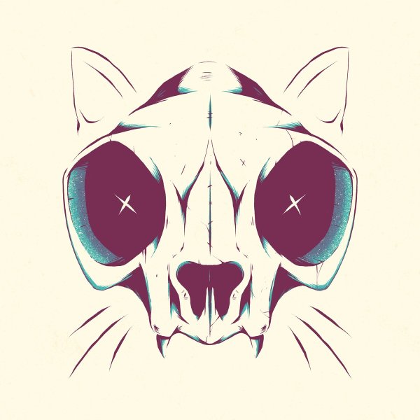 Кошачий череп арт