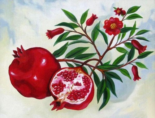 Ботаническая живопись акварелью гранат