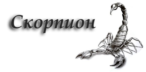Скорпион знак зодиака на белом фоне