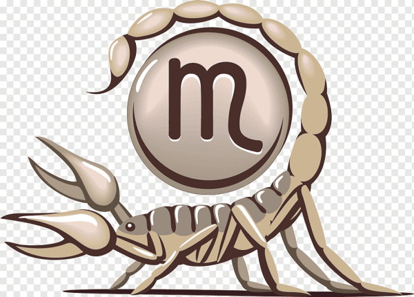 Знак зодиака Скорпион