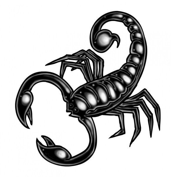 Скорпион тату эскиз
