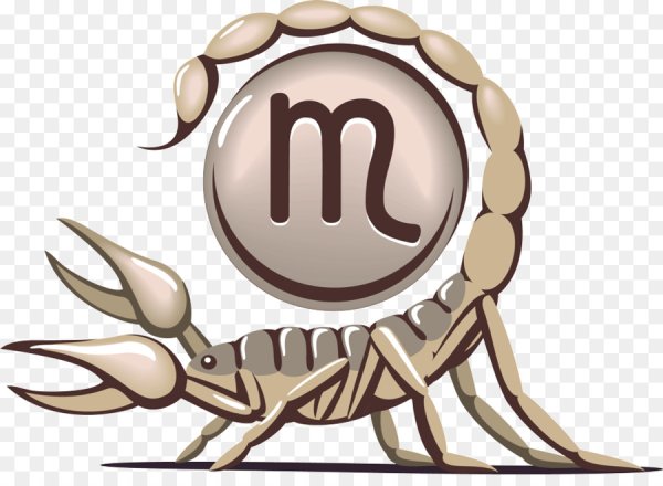 Знак зодиака Скорпион