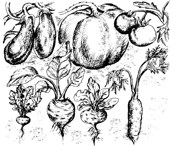 Культурные растения картинки