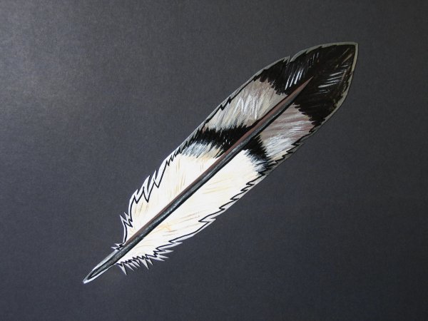 Перо журавля