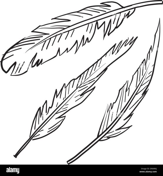 Перо Грача для рисования