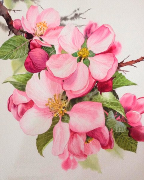 Алмазная мозаика Яблоневый цвет