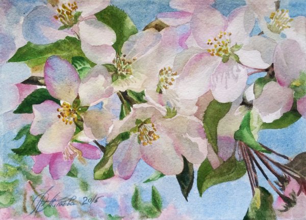 Шагабутдинов Яблоневый цвет