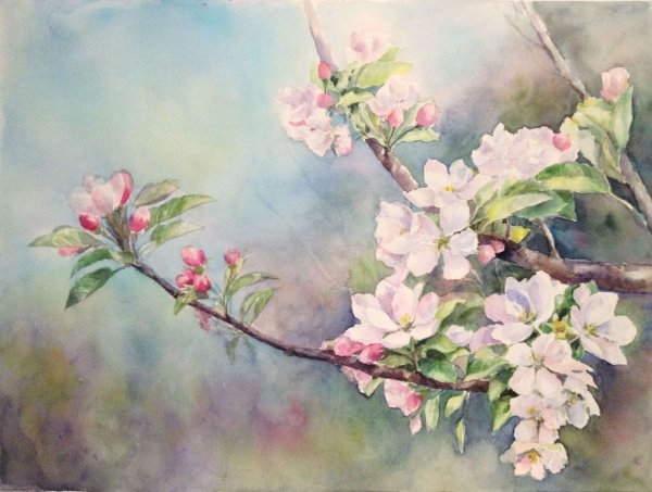 Цветы Весна акварель