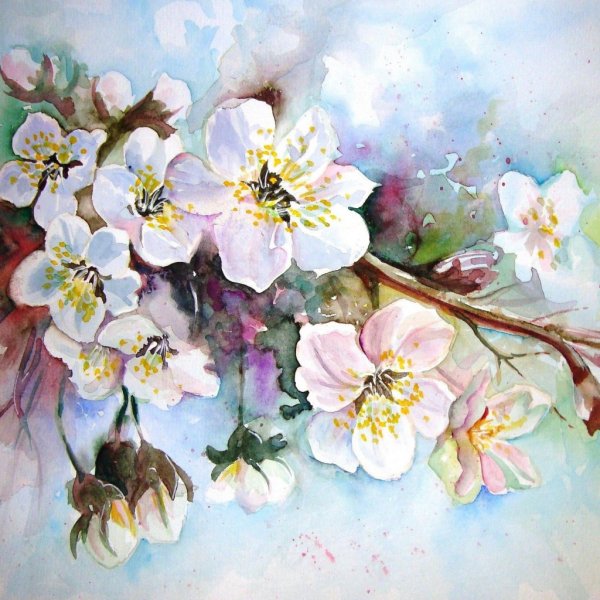 Цветы акварель