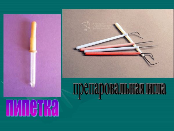 Препаровальные иглы