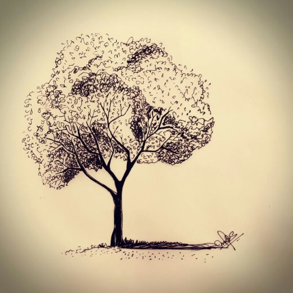 Красивое дерево Графика