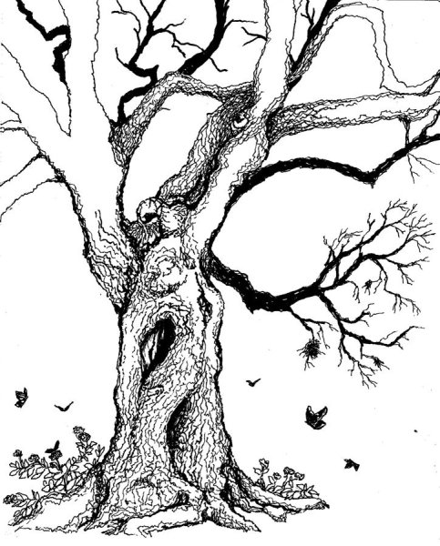 Деревья в графике