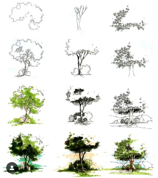 Деревья в графике