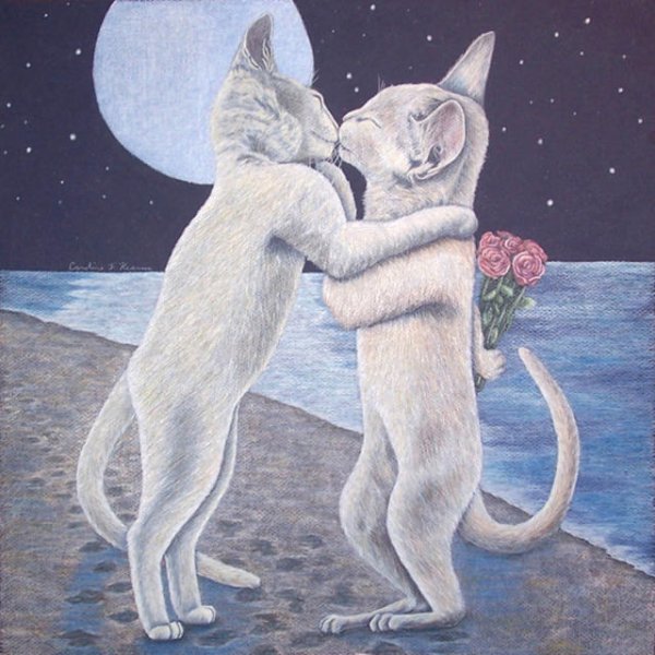 Влюбленные кот и кошка