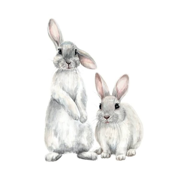 Заяц акварель