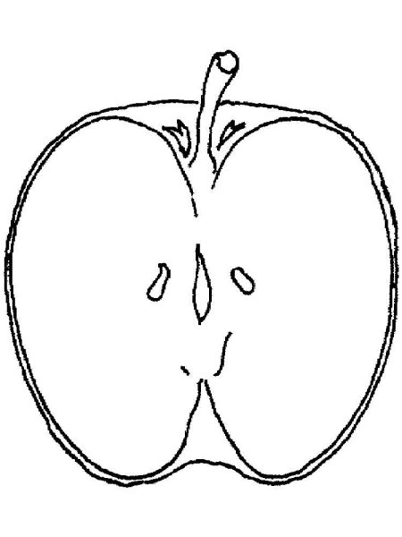 Рисование яблоко в разрезе