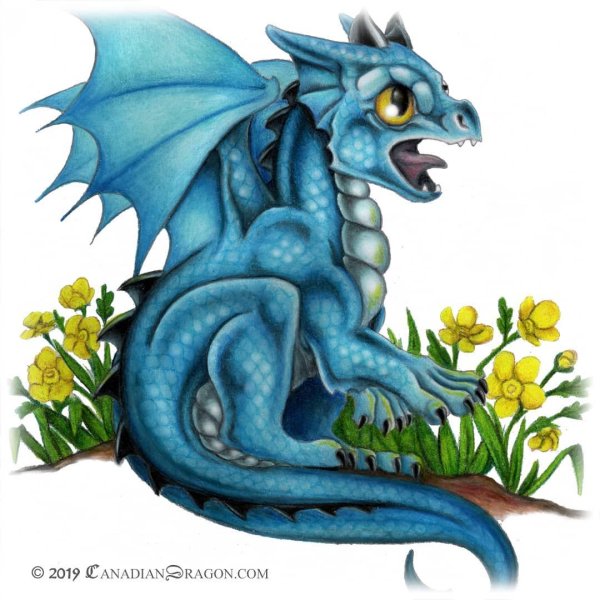 Синий дракончик