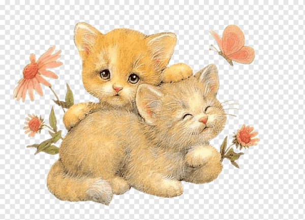 Два котенка на прозрачном фоне