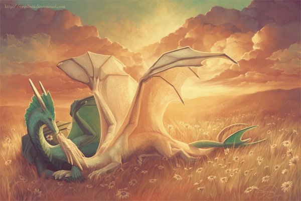 Красивый дракон