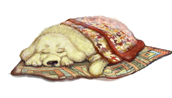 Собака лежит на коврике