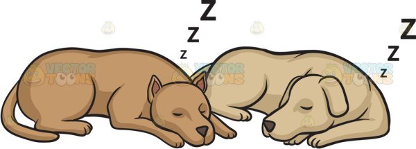 Собака спит вектор