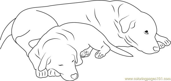 Собачка лежит мультяшная