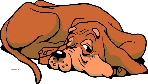 Спящая собака рисунок карандашом