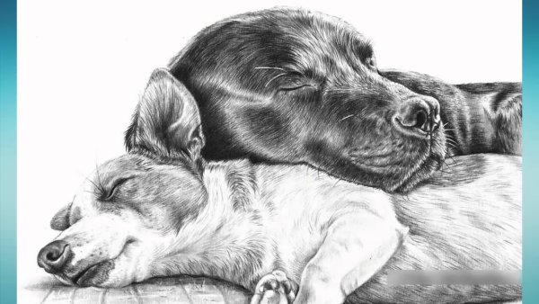 Щенок спит мультяшный