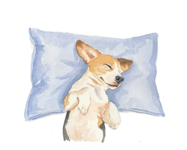 Собака лежит рисунок