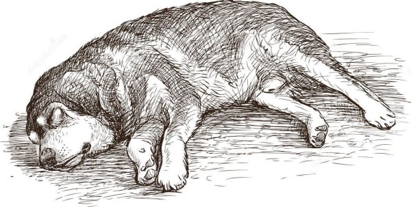 Щенок спит мультяшный