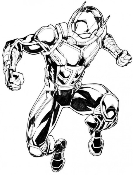 Человек муравей скетч