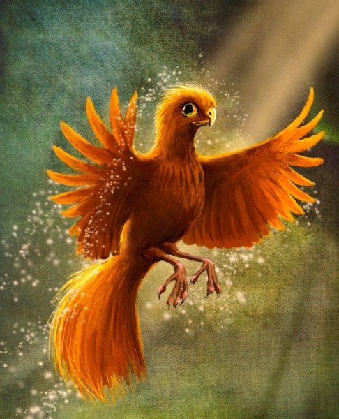 Джереми Нортон иллюстрации