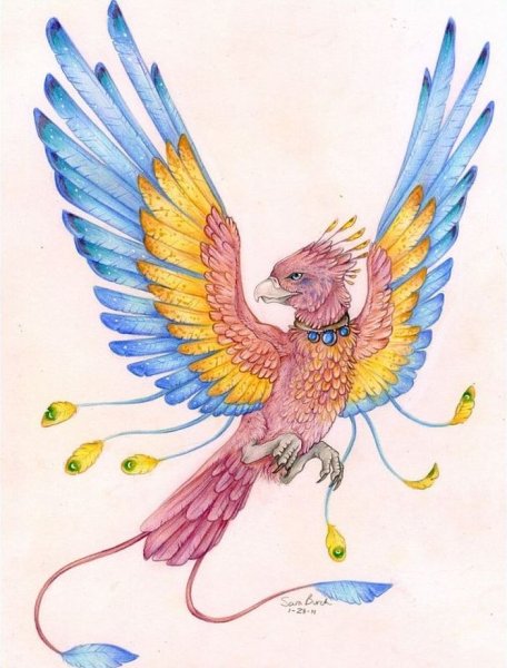 Птица кахна таджикская народная сказка