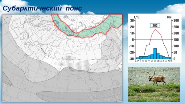 Субарктический климатический пояс Евразии