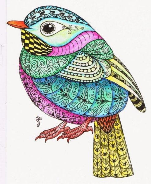 Зентангл птицы