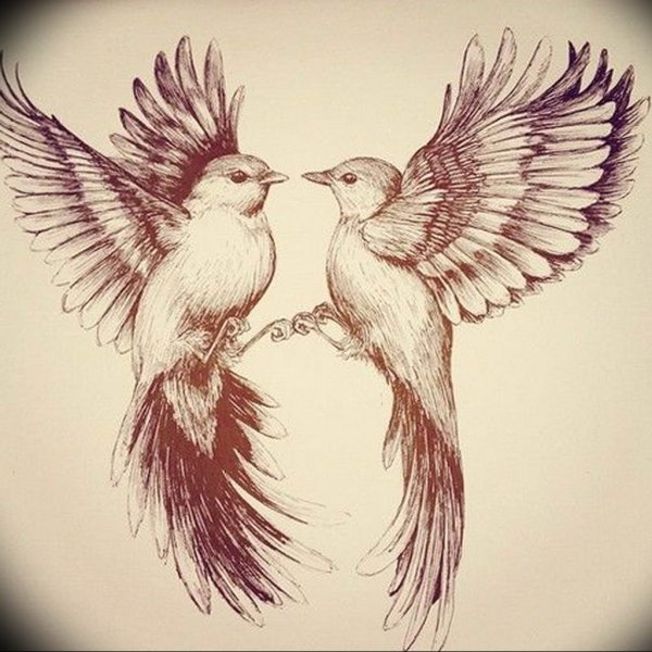 Птица рисунок