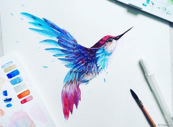 Рисование акварельными карандашами