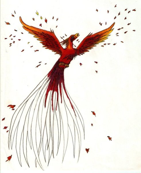 Падающая птица