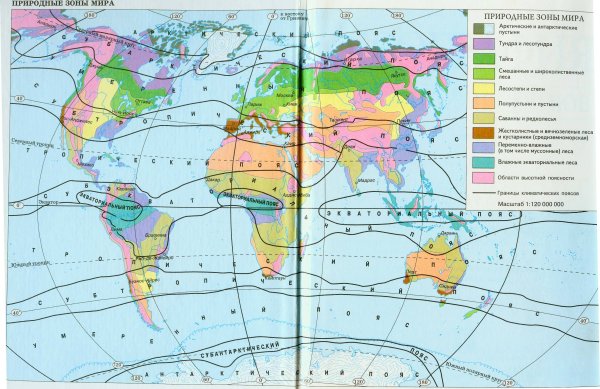 Карта природных зон мира 7 класс