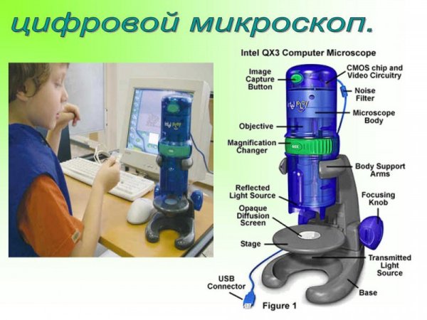 Оптический микроскоп строение