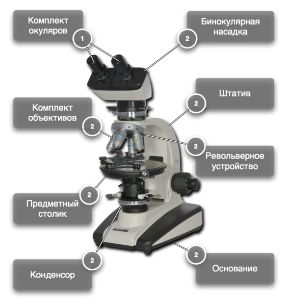 Монокулярный микроскоп строение