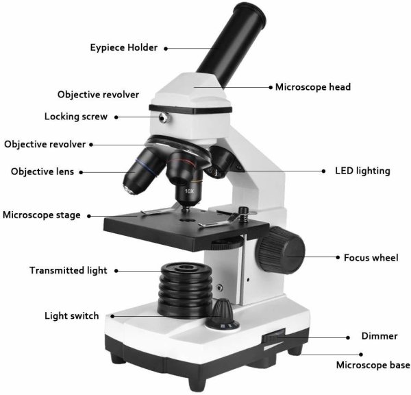 Микроскоп сбоку