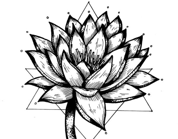 Цветок лотоса графический