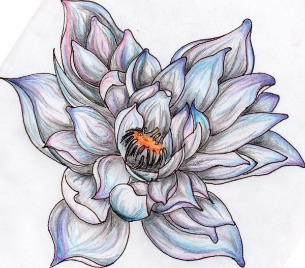 Лотос в графическом стиле